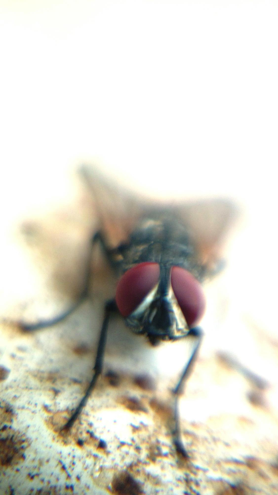 conseils pour un resultat durable