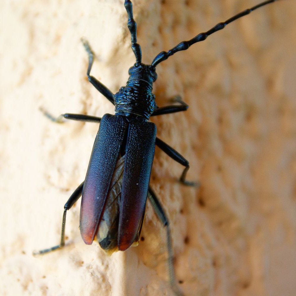 Pourquoi est-ce dangereux 