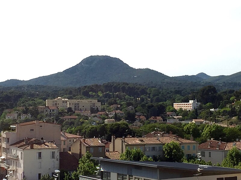 Aubagne Dératisation Nuisibles Chrono