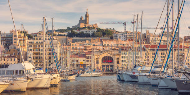 Dératisation Marseille
