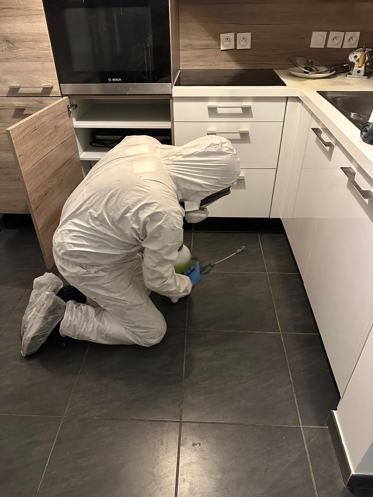 Traitement des punaises de lit avec Nuisibles Chrono