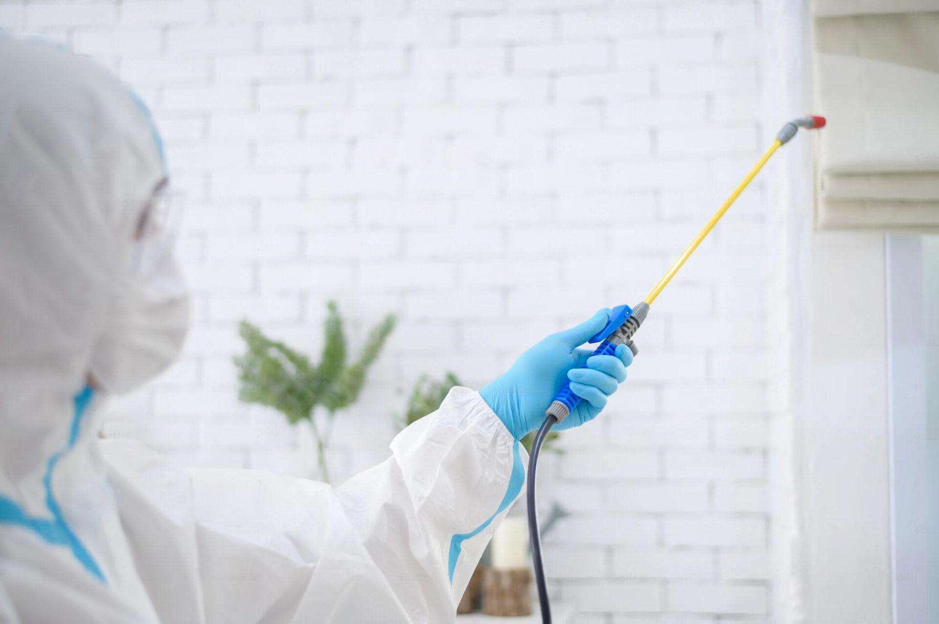 Expert Nuisibles Chrono en intervention anti-nuisibles