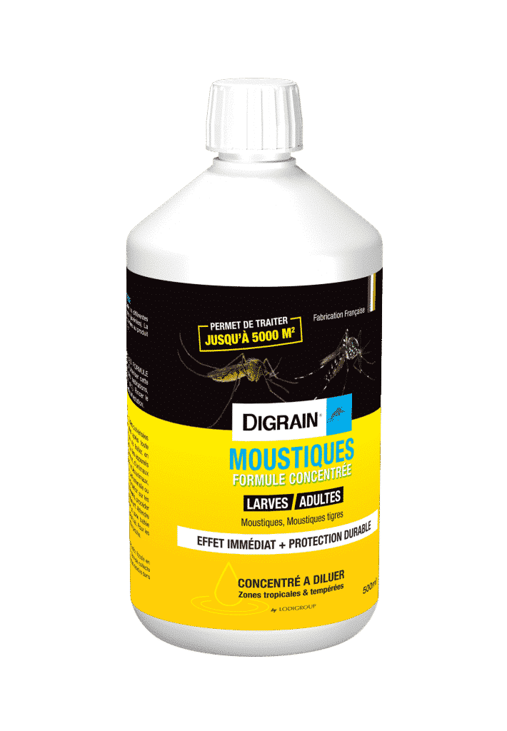 Urgence sanitaire dengue/chikungunya