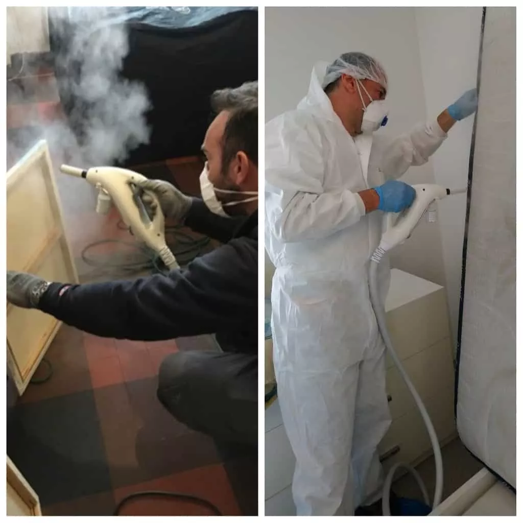 Vapeur sèche 180 °C (Polti Cimex Eradicator)