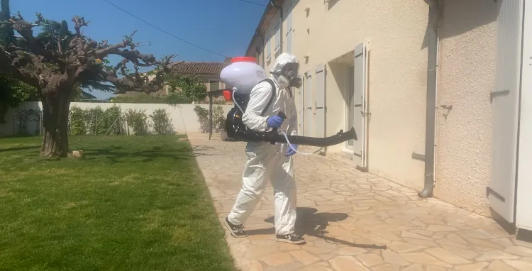 Traitement d'un jardin contre le moustique tigre à Aix-en-Provence
