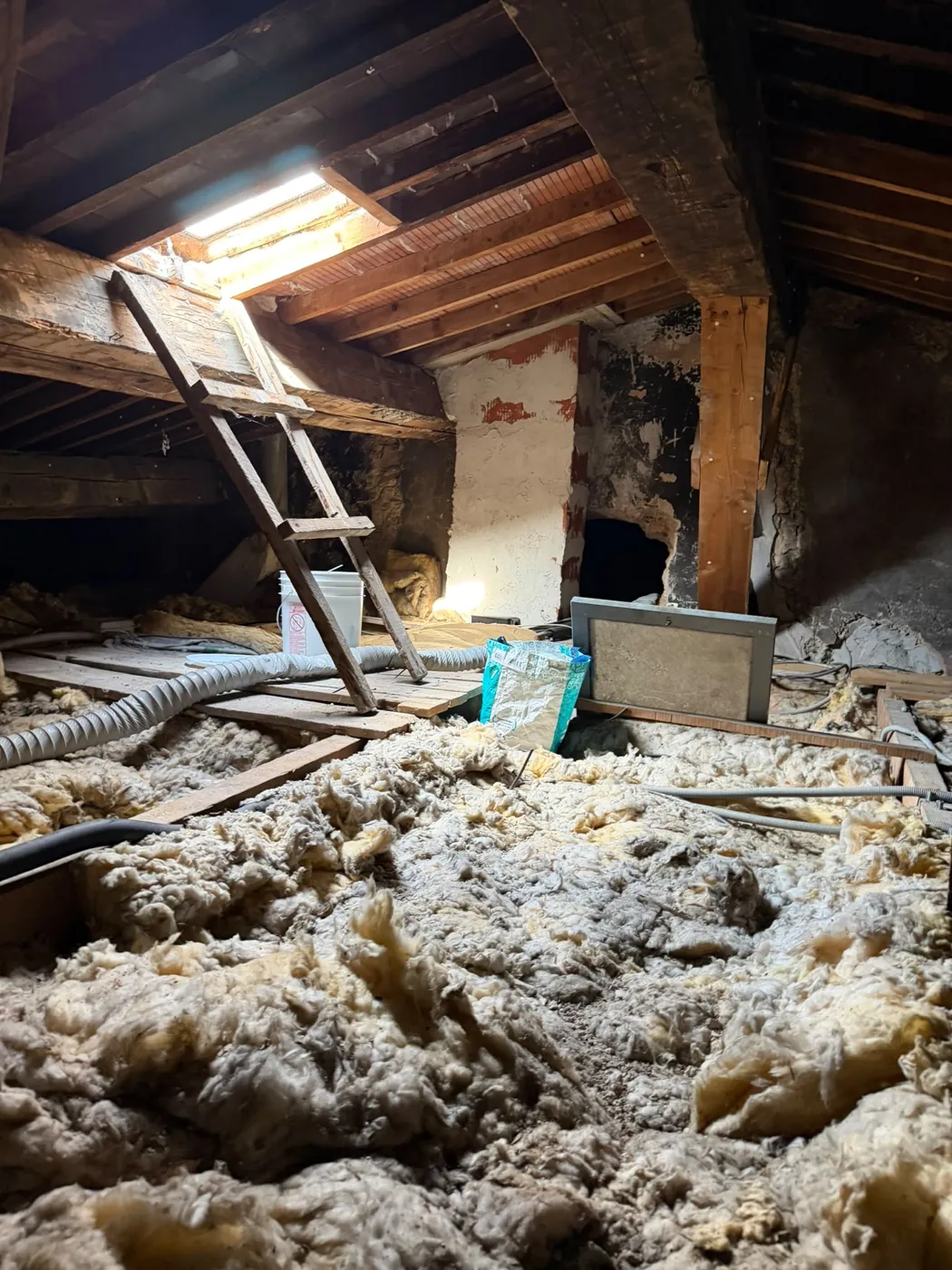 Combles isolés en laine projetée inspectés lors d'une dératisation