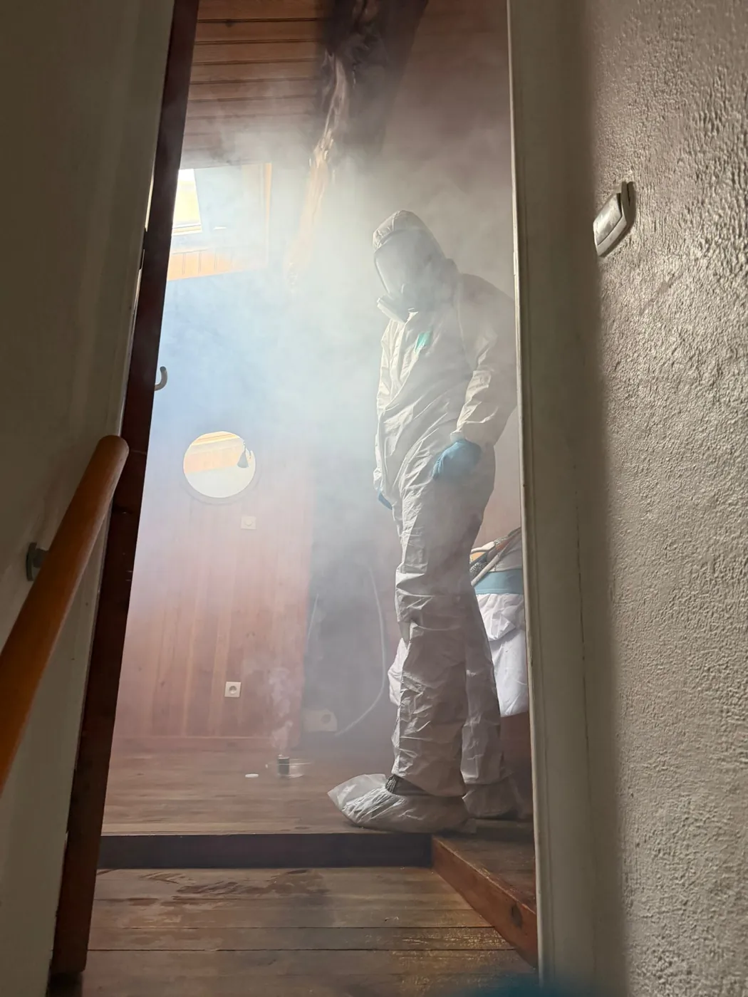 Nébulisation d'un logement contre les puces à Aubagne