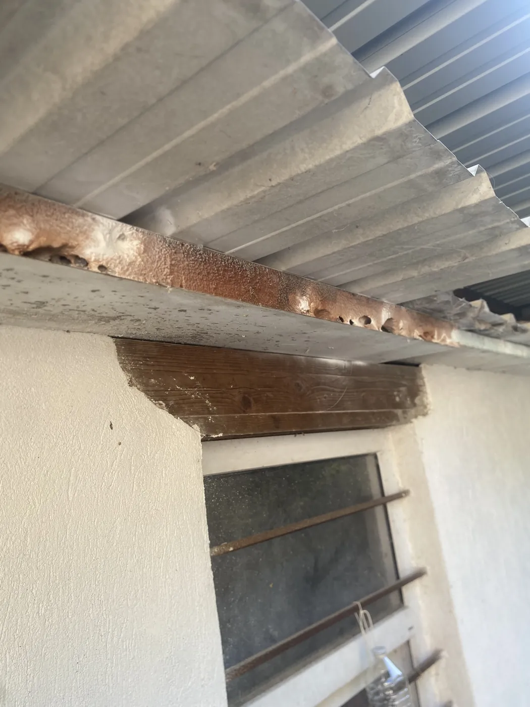 Nid de frelons sous une toiture en tôle au-dessus d'une fenêtre à Gardanne