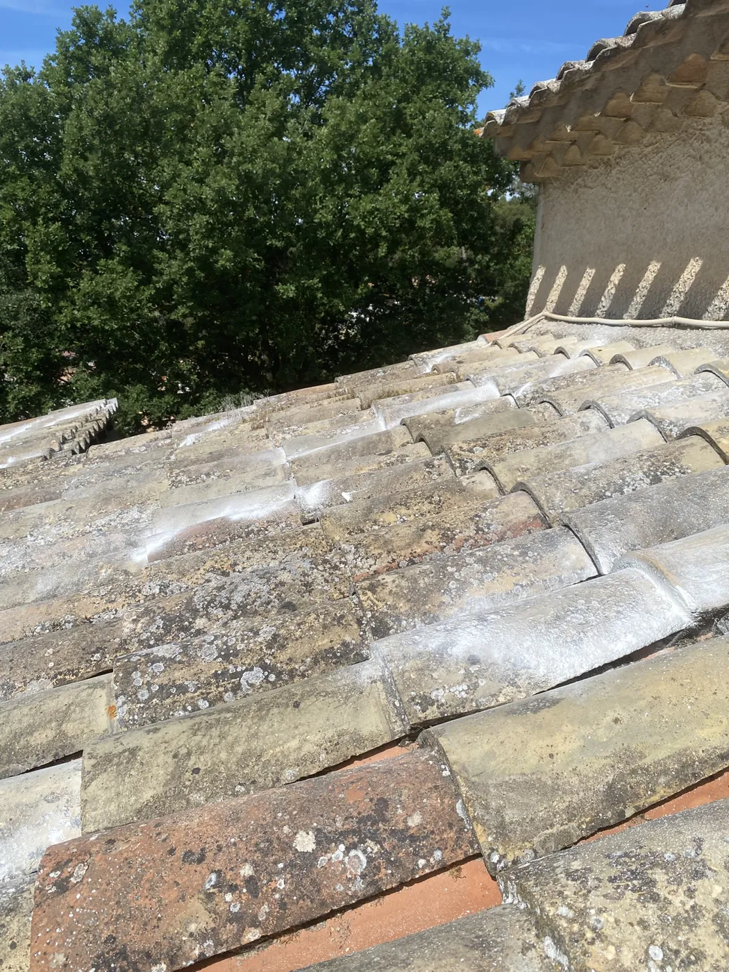 Tuiles d'une maison à Aubagne sous lesquelles nichaient des guêpes