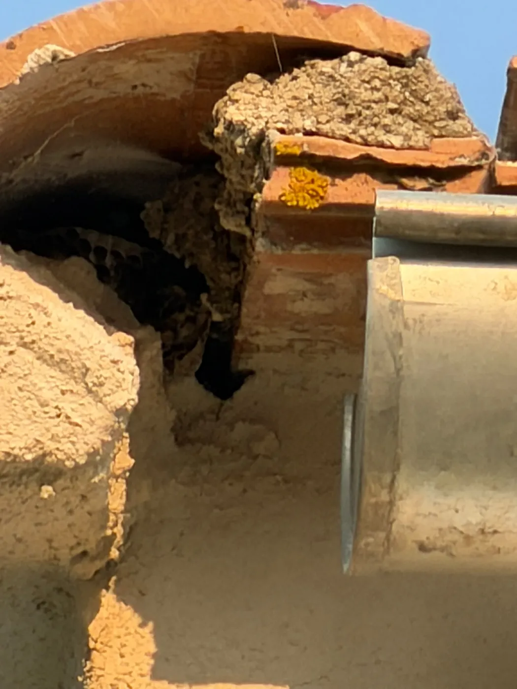 Ouverture autour d'une canalisation dans un mur, accès de rongeurs à reboucher à Marseille