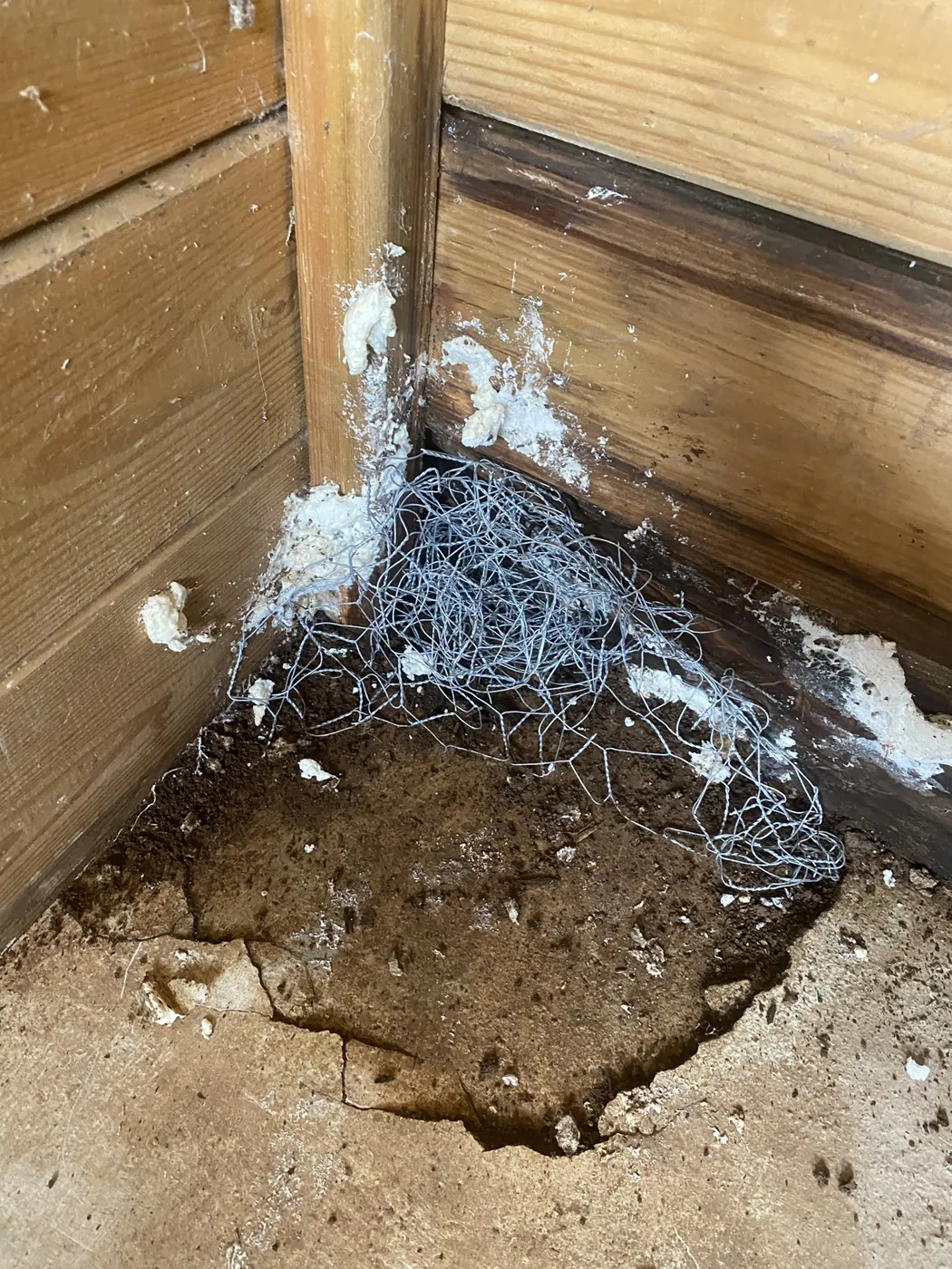 Angle de garage rebouché au grillage et à la mousse contre les rats à Aubagne