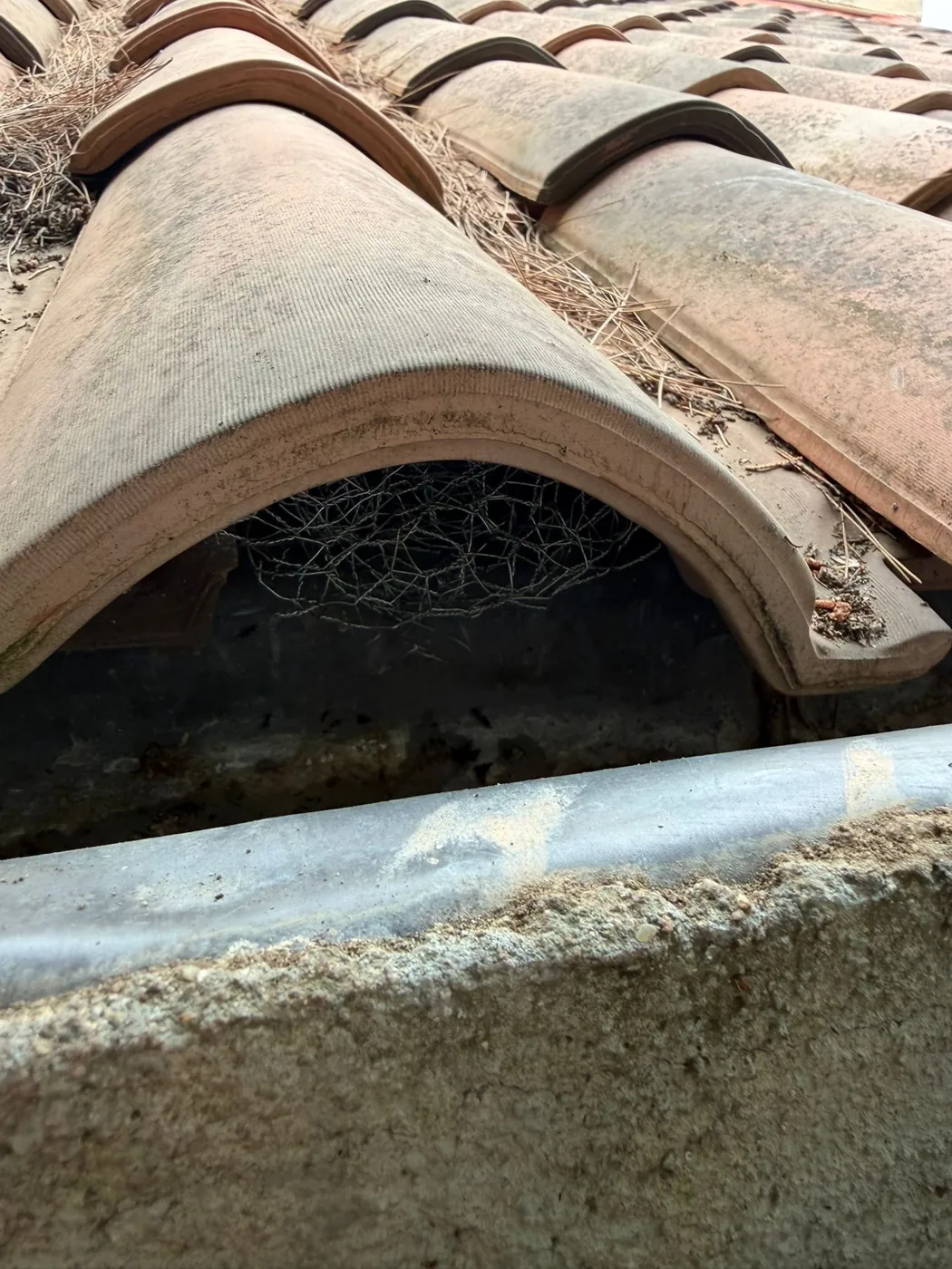 Grillage posé sous les tuiles pour fermer un accès de rongeurs en toiture, à Aix-en-Provence