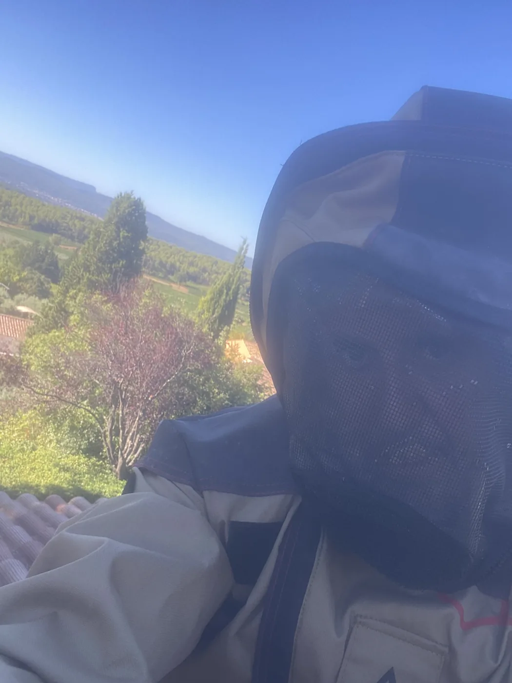 Technicien en tenue anti-frelons sur un toit à Trets