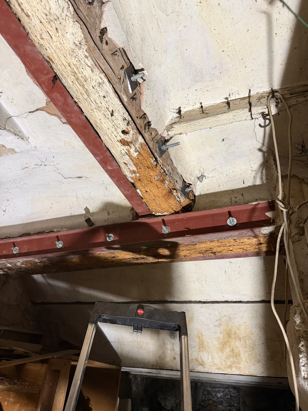 Poutres attaquées par les insectes du bois dans une cave à Marseille