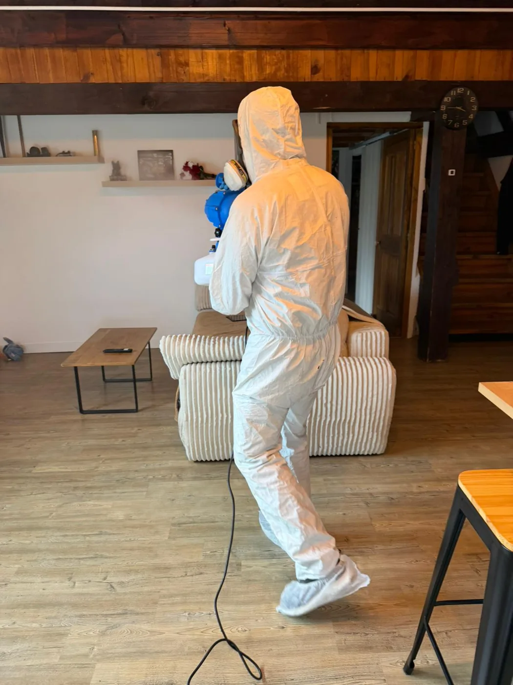 Traitement d'un séjour contre les mouches à Aubagne