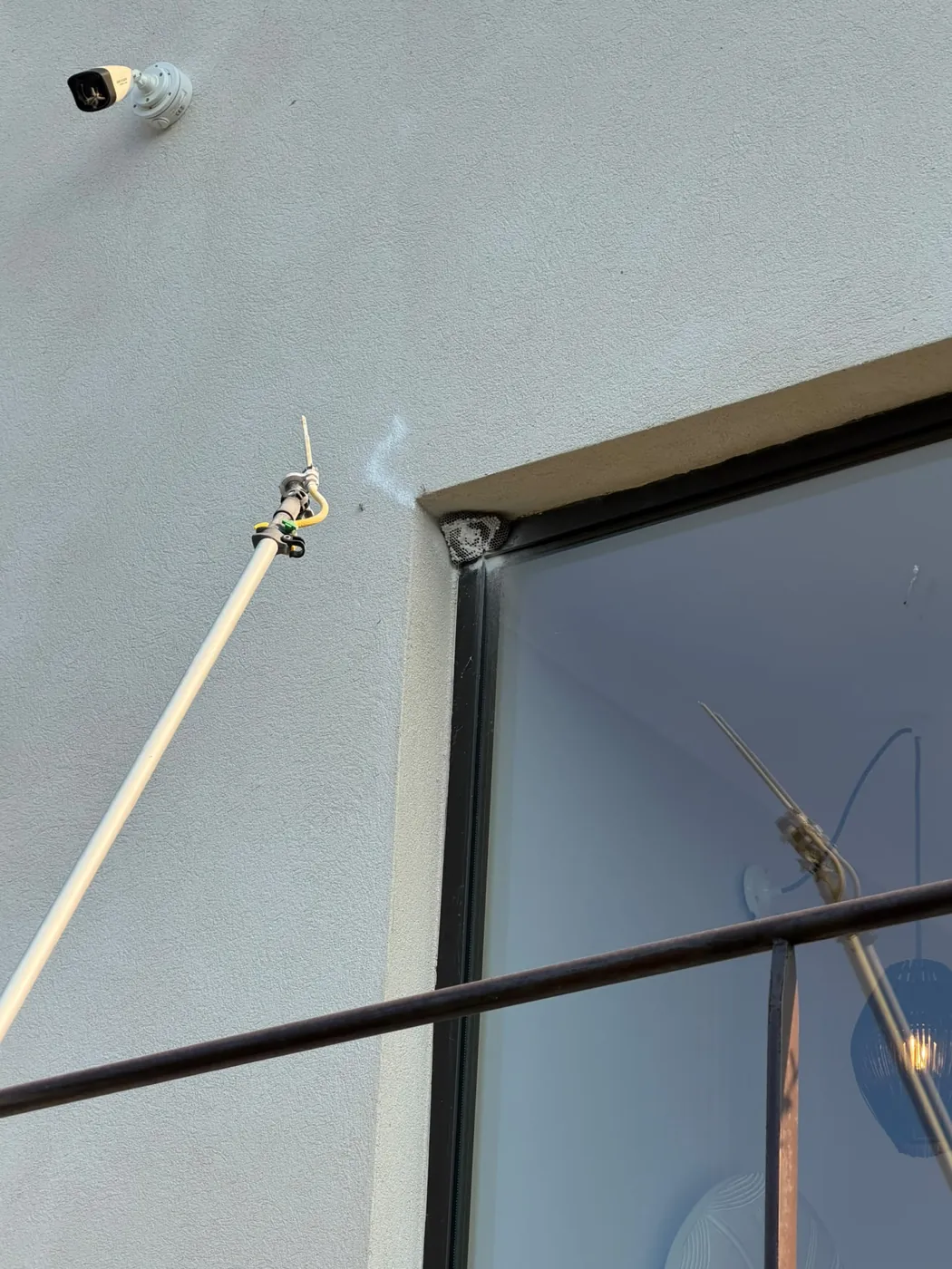Traitement d'un nid de guêpes à la perche à l'angle d'une fenêtre à Aix-en-Provence