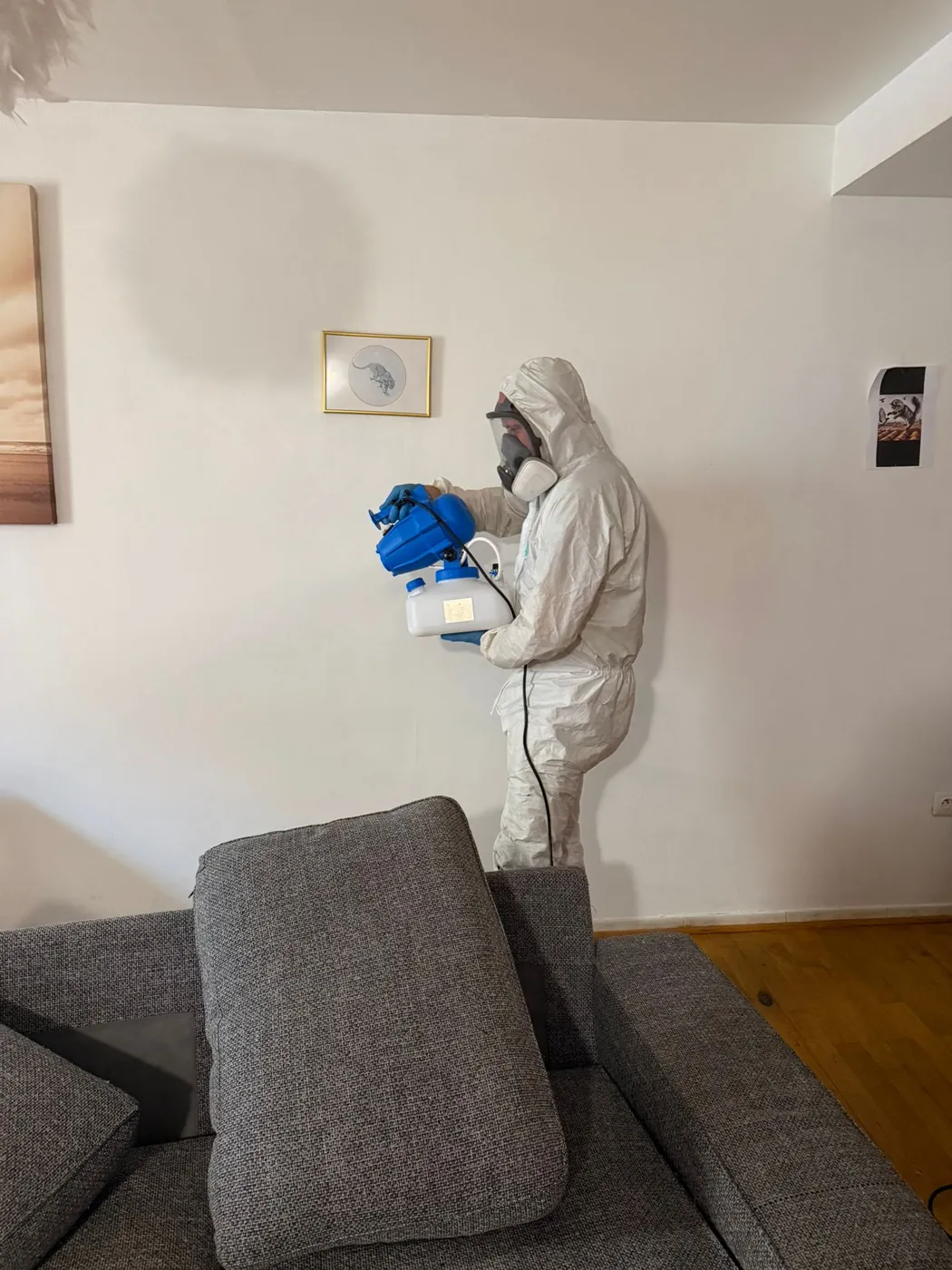 Traitement d'un salon contre les puces à Aubagne
