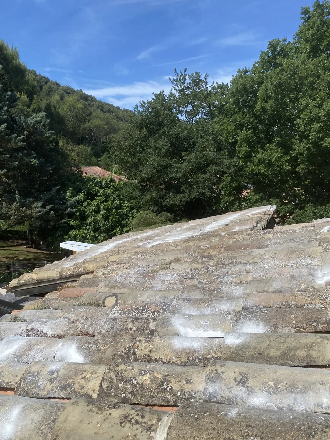 Toiture en tuiles traitée contre un nid de guêpes à Aubagne