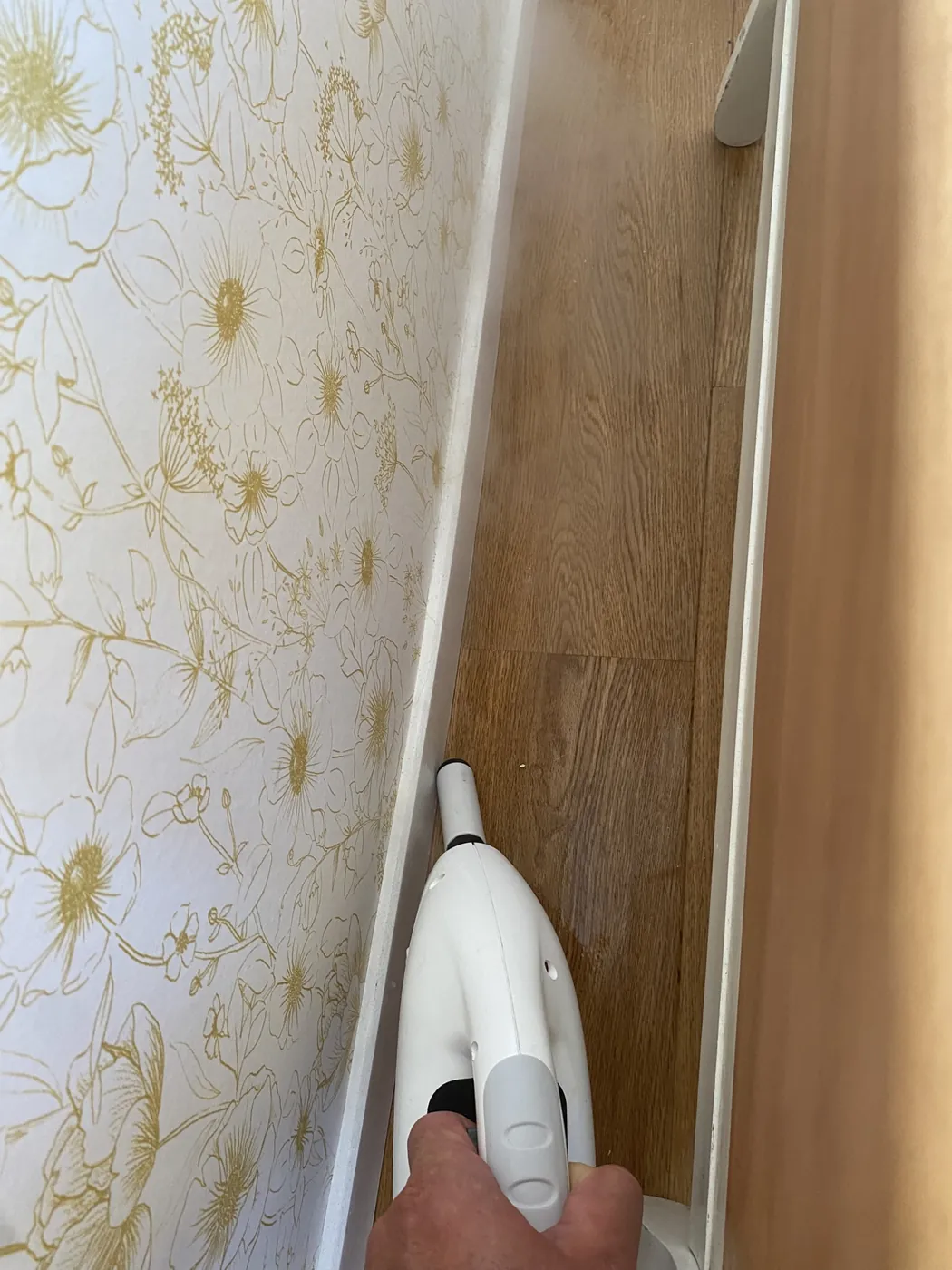 Traitement à la vapeur sèche le long d'une plinthe à Marseille